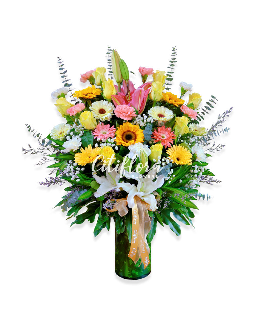 VF-16