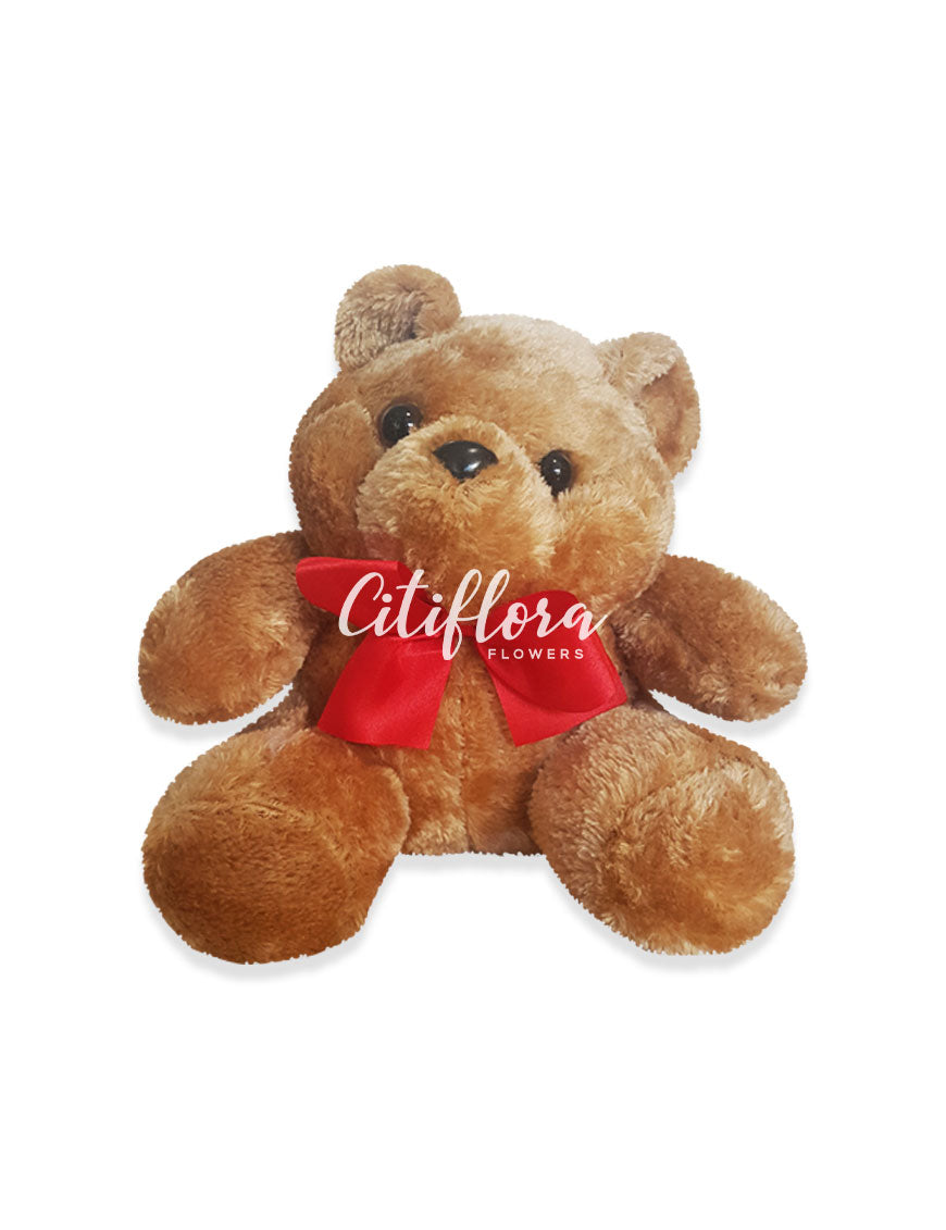 Small Bear