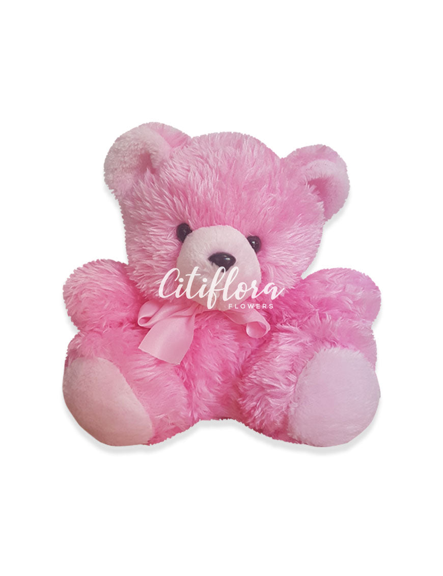 Medium Bear