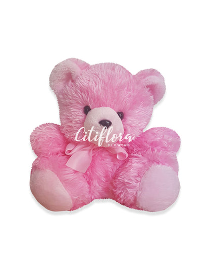 Medium Bear