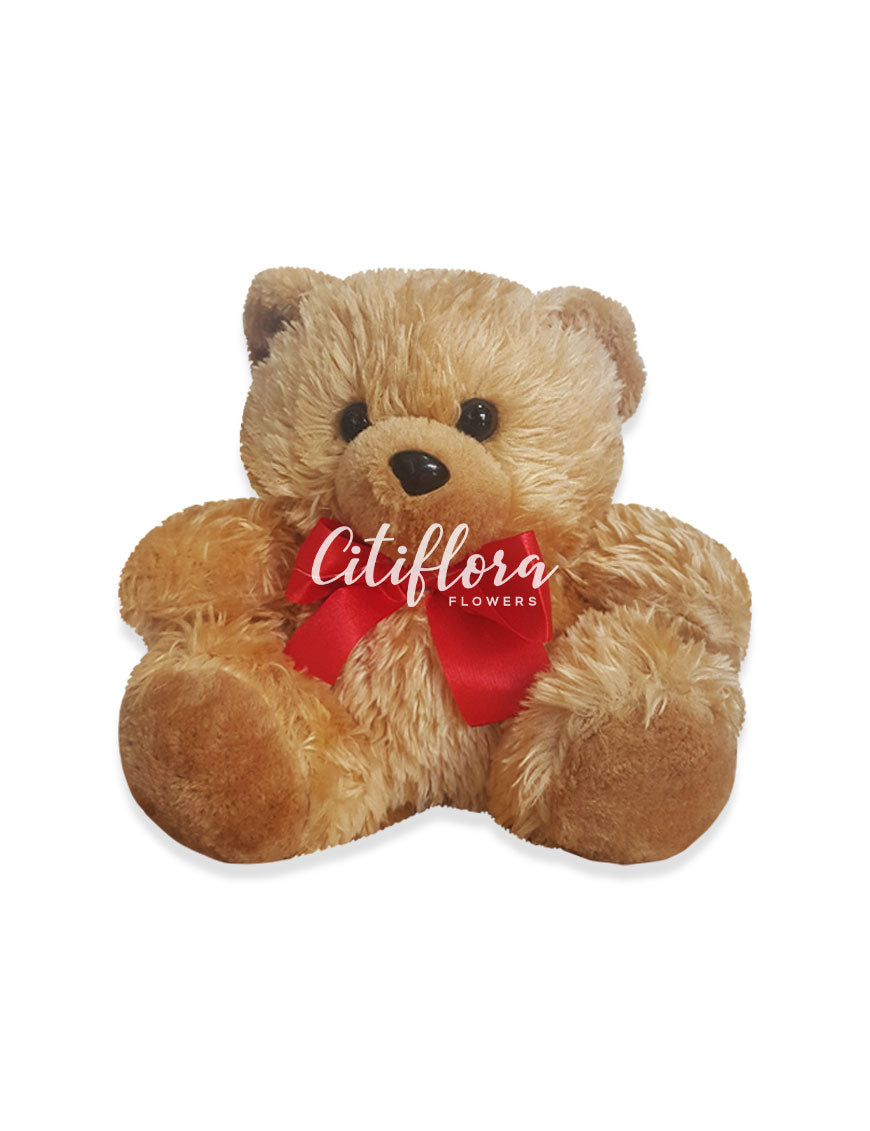Medium Bear