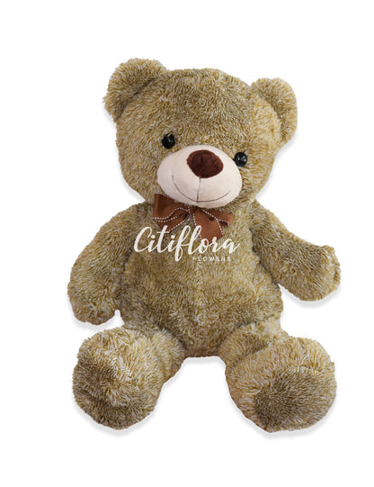 Large Bear