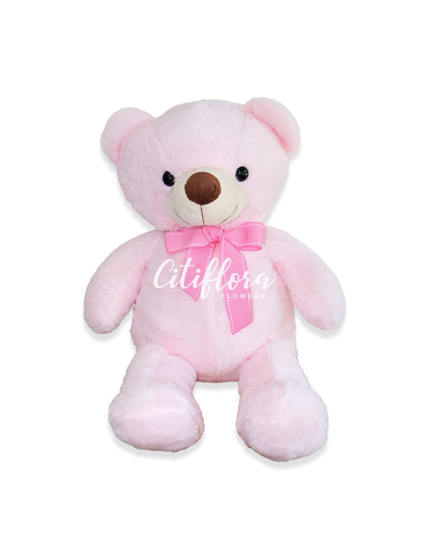Large Bear